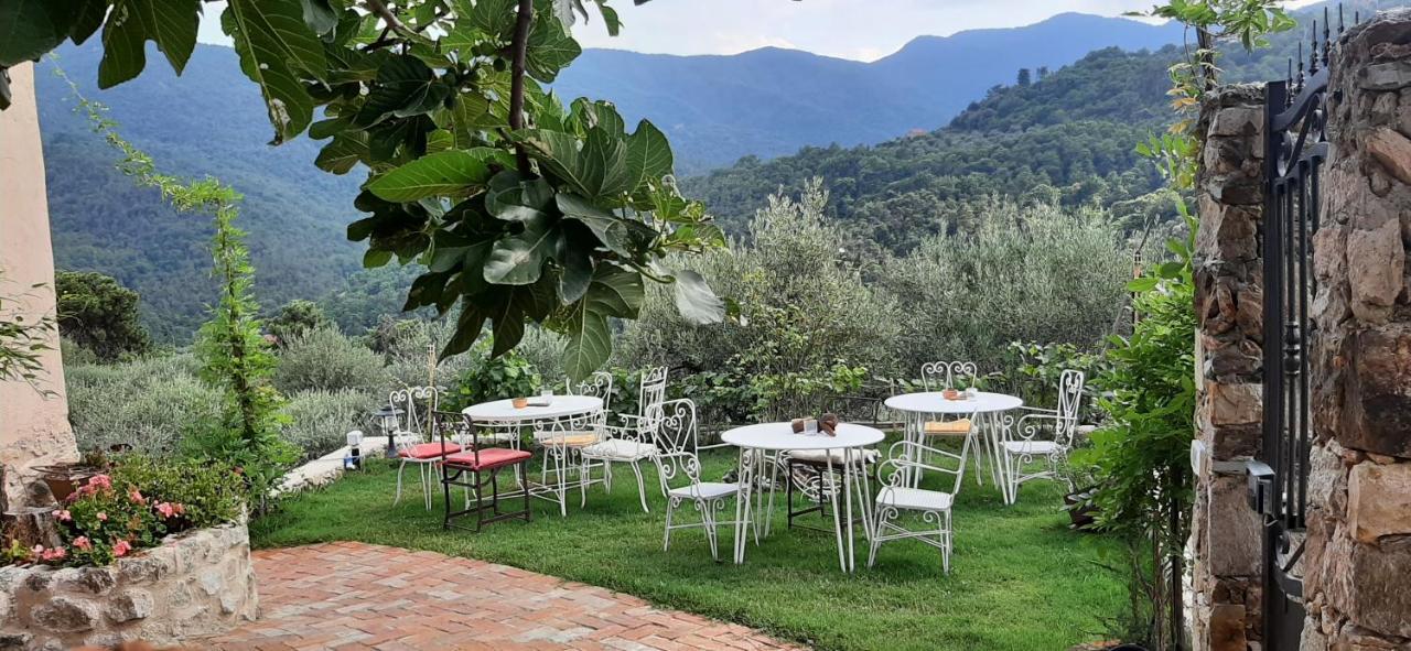 B&B L' Antica Macina Quiliano エクステリア 写真