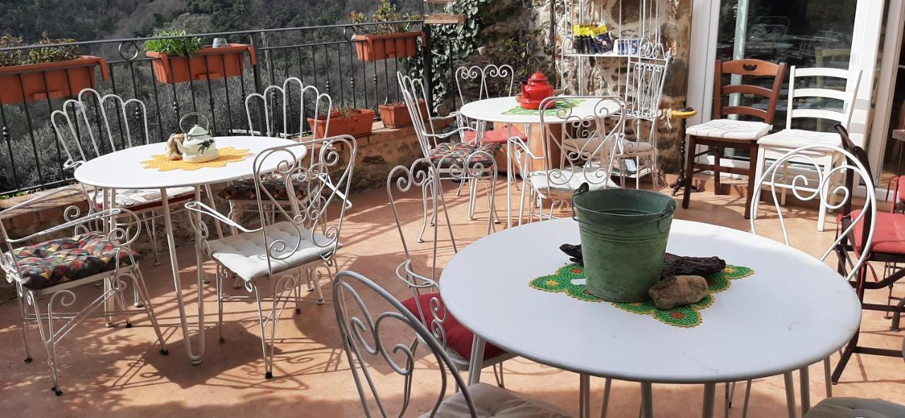 B&B L' Antica Macina Quiliano エクステリア 写真