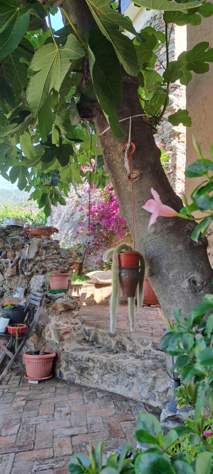 B&B L' Antica Macina Quiliano エクステリア 写真