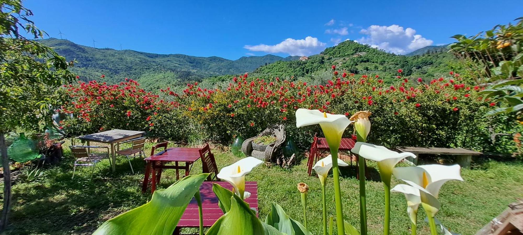 B&B L' Antica Macina Quiliano エクステリア 写真