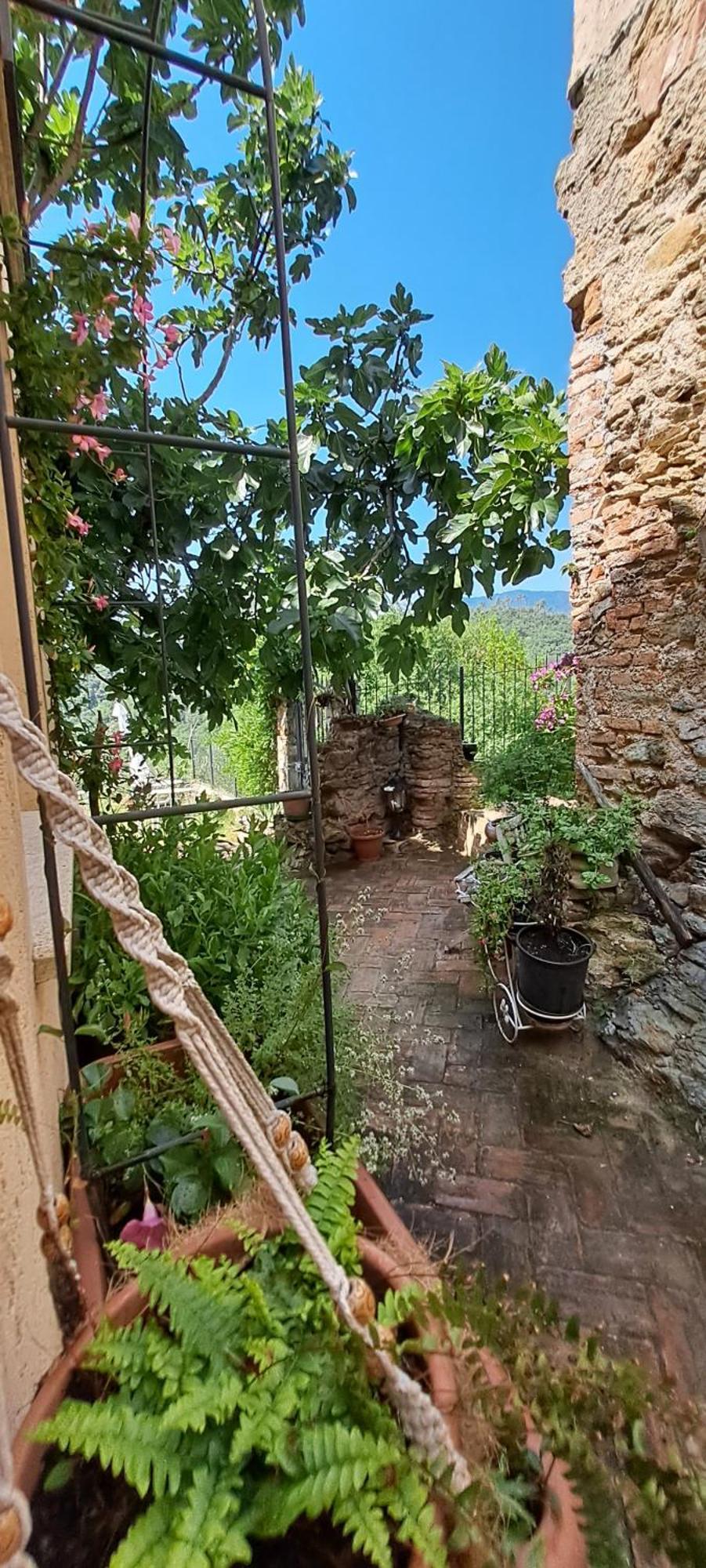 B&B L' Antica Macina Quiliano エクステリア 写真