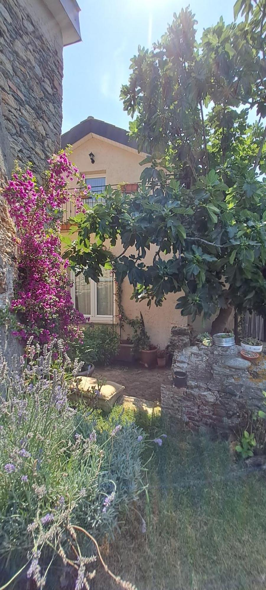 B&B L' Antica Macina Quiliano エクステリア 写真